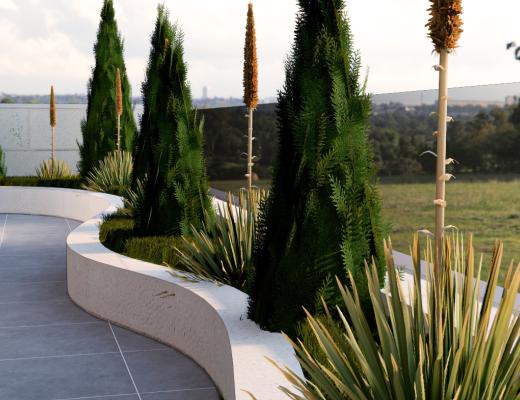 ROOF LANDSCAPE DESIGN